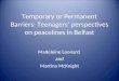Temporary or Permanent Barriers: Teenagers’ perspectives on peacelines in Belfast Madeleine Leonard and Martina McKnight