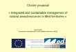 Cluster proposal « Integrated and sustainable management of natural areas/resources in Med territories » David GASC Association Internationale Forêts Méditerranéennes