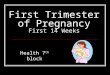 First Trimester of Pregnancy First 14 Weeks Health 7 th block
