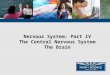 Nervous System: Part IV The Central Nervous System The Brain