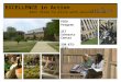 EXCELLENCE in Action Kent State is alive with possibilities PSEO Program 217 Schwartz Center 330-672-3743