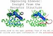Improving Gleevec: Insight from the Receptor Structure Gleevec cannot bind to the open (active) form of the Abl kinase - would collide with open conformation
