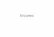 Enzymes. Are biological catalysts Catalysts are substances that that increase the speed of a chemical reaction by lowering the energy requirement Although