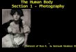 The Human Body Section 1 - Photography â€œPortrait of Miss N.â€‌ by Gertrude K¤sebier 1903
