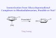 Isomerization from Silacyclopentadienyl Complexes to Rhodasilabenzenes, Possible or Not? Ying huang