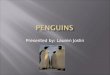 Presented by: Lauren Joslin.  Emperor PenguinsHumboldt Penguin  King PenguinMagellanic Penguin  Royal PenguinAdelie Penguin  Chinstrap Penguin  Gentoo