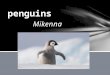Mikenna. Penguins live in cool places. For example, penguins are not found where polar bears are. Penguins live in the southern hemisphere. Waitaha penguins
