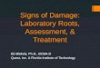 Signs of Damage: Laboratory Roots, Assessment, & Treatment Eb Blakely, Ph.D., BCBA-D Quest, Inc. & Florida Institute of Technology
