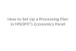 How to Set Up a Processing Plan in MSOPIT’s Economics Panel