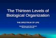 The Thirteen Levels of Biological Organization THE SPECTRUM OF LIFE Harold Moore and John Oarlock Illinois State University