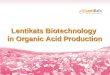 Lentikats Biotechnology in Organic Acid Production