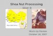 Shea Nut Processing Silver B Mock-Up Review October 18, 2007