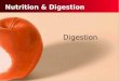 Nutrition & Digestion Digestion Interpret the different functions of the digestive system organs. Outline the pathway food follows through the digestive