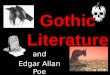 Gothic Literature and Edgar Allan Poe. The Gothic Tradition Began in Europe Began in Europe First Gothic Work: First Gothic Work: –1765 The Castle of