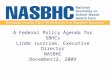 A Federal Policy Agenda for SBHCs Linda Juszczak, Executive Director NASBHC December12, 2009