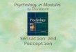 Section 3: Sensation and Perception Psychology in Modules by Saul Kassin