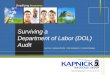 Simplifying Insurance Insurance | Employee Benefits | Risk Management | Financial Strategies Surviving a Department of Labor (DOL) Audit