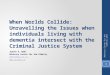 When Worlds Collide: Unravelling the Issues when individuals living with dementia intersect with the Criminal Justice System Judith A. Wahl Advocacy Centre
