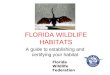 FLORIDA WILDLIFE HABITATS A guide to establishing and certifying your habitat Florida Wildlife Federation