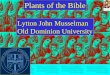 Plants of the Bible Lytton John Musselman Old Dominion University