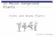 Forbs and Woody Plants 25 Major Rangeland Plants By Karen Launchbaugh