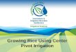 Growing Rice Using Center Pivot Irrigation. Earl Vories Ph.D. - Agricultural Engineering Professional Engineer - Arkansas University of Arkansas: 1988