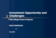 Investment Opportunity and Challenges Ultra Mega Power Projects May 2006 AFG Navin Wadhwani