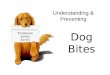 Dog Bites Employee Safety Series Understanding & Preventing