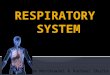 By: Sam Mentkowski & Rachael Shulta. Identify the structures of the respiratory system and state the function of each structure. (k)