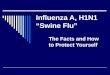 Influenza A, H1N1 “Swine Flu” The Facts and How to Protect Yourself