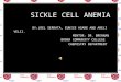 SICKLE CELL ANEMIA BY:JOEL SERRATA, EUNICE ASARE AND ARELI VELIZ. MENTOR: DR. BRENNAN BRONX COMMUNITY COLLEGE CHEMISTRY DEPARTMENT