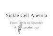 Sickle Cell Anemia From DNA to Disorder A production