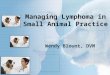 Managing Lymphoma in Small Animal Practice Wendy Blount, DVM