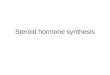 Steroid hormone synthesis. Steroidogenesis Conversion of cholesterol into hormones –Chemical modification Ring formation Reduction of ketone to alcohol