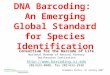 Academia Sinica, 16 January 2007 DNA Barcoding: An Emerging Global Standard for Species Identification Consortium for the Barcode of Life National Museum