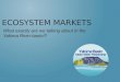 ECOSYSTEM MARKETS What exactly are we talking about in the Yakima River basin!?