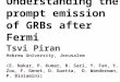 Understanding the prompt emission of GRBs after Fermi Tsvi Piran Hebrew University, Jerusalem (E. Nakar, P. Kumar, R. Sari, Y. Fan, Y. Zou, F. Genet, D