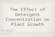 PJAS December 2010 The Effect of Detergent Concentration on Plant Growth Erin Annunziato Ms. Pietrangelo