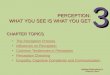 Looking Out/Looking In Thirteenth Edition 3 PERCEPTION: WHAT YOU SEE IS WHAT YOU GET CHAPTER TOPICS The Perception Process Influences on Perception Common