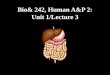 Bio& 242, Human A&P 2: Unit 1/Lecture 3. Anatomy of the Large Intestine The large intestine (colon) extends from the ileocecal sphincter to the anus