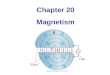 Chapter 20 Magnetism. Magnets Poles of a magnet are the ends where objects are most strongly attracted –Two poles, called north and south Like poles repel