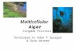 Multicellular Algae Kingdom Protista Developed by Adam F Sprague & Dave Werner