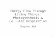 1 Energy Flow Through Living Things: Photosynthesis & Cellular Respiration Chapter 8&9