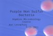 Purple Non Sulfur Bacteria Hopkins Microbiology Course Ann Lesnefsky 7-15-2011