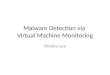 Malware Detection via Virtual Machine Monitoring Wenke Lee