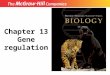 Title Chapter 13 Gene regulation. CO 13 Fig. 13.1