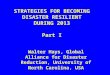 STRATEGIES FOR BECOMING DISASTER RESILIENT DURING 2013 Part I Walter Hays, Global Alliance for Disaster Reduction, University of North Carolina, USA