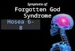 Hosea 6-8 Symptoms of: Forgotten God Syndrome. Hosea 8:14a For Israel has forgotten his Maker…
