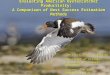 Title Page Evaluating American Oystercatcher Productivity: A Comparison of Nest Success Estimation Methods Photo:  Tom Virzi, Ph.D. Candidate
