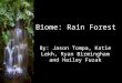 Biome: Rain Forest By: Jason Tompa, Katie Lekh, Ryan Birmingham and Hailey Fuzak
